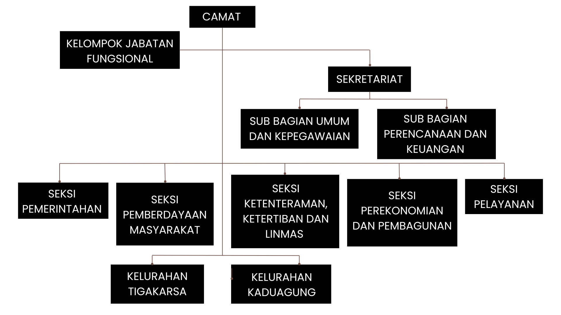 Struktur Pemerintahan Kecamatan
